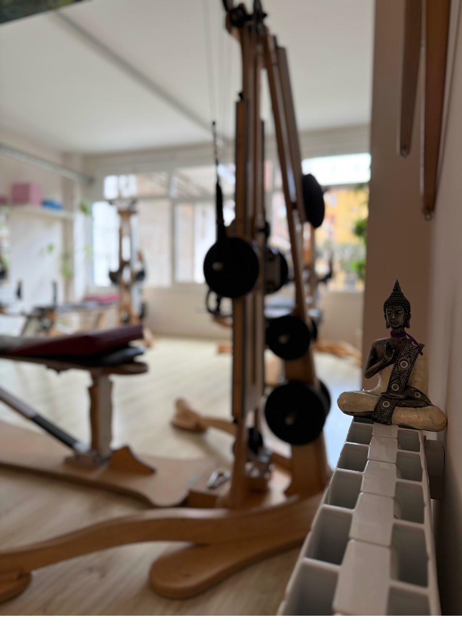 Máquina Gyrotonic® detalle